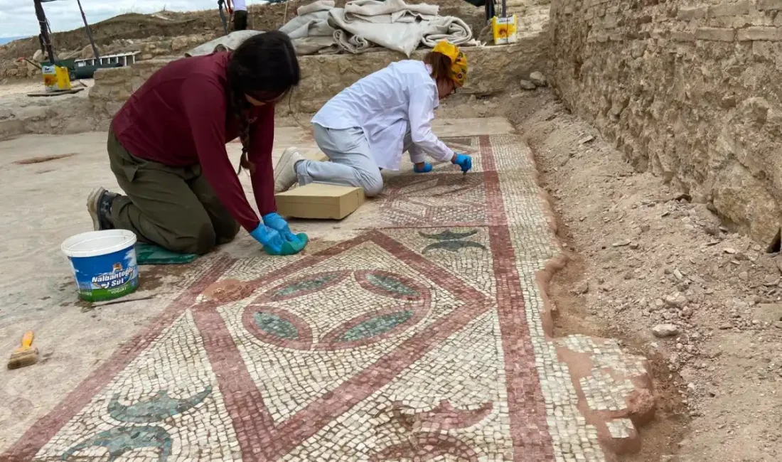 105 metrekarelik mozaik ve Eros başı bulundu KASTAMONU – BHA Kültür ve Turizm Bakanı Mehmet Nuri Ersoy,