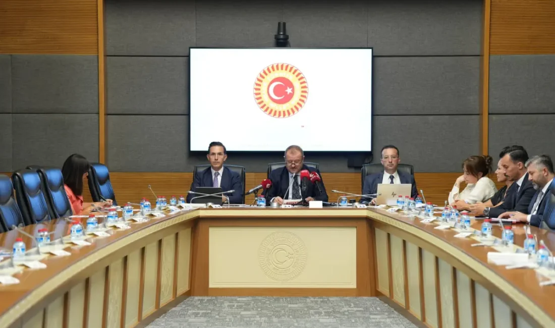 Toplantıda RTÜK Başkan Yardımcısı Dr. Deniz Güler, “Çocukların Medyadaki Zararlı
