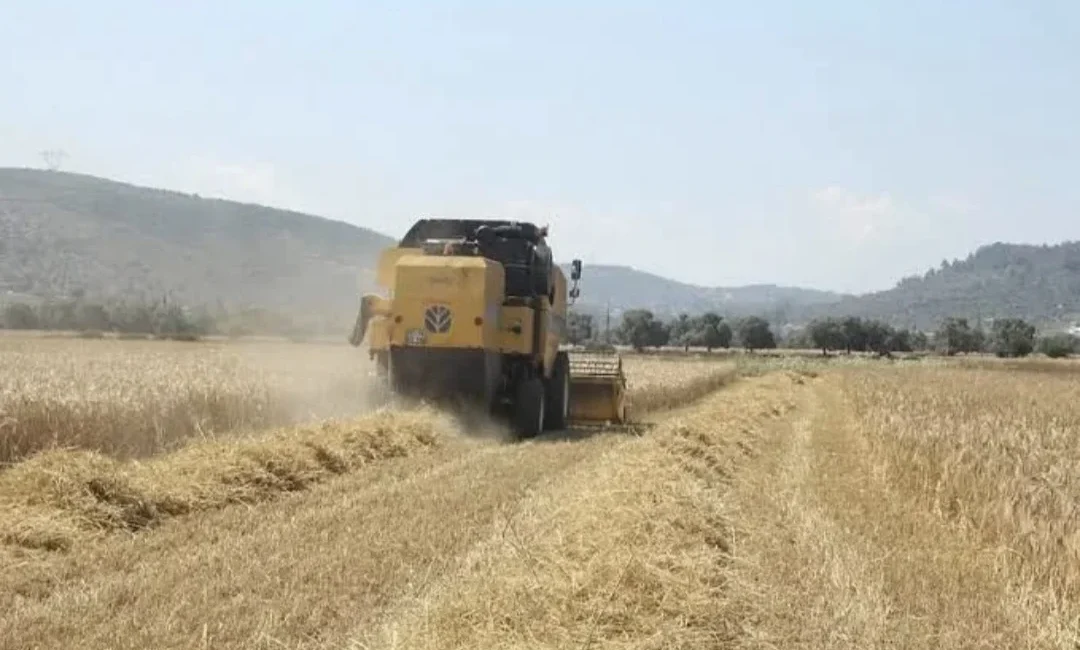 ANKARA – BHA Tarım-ÜFE, 2026 yılı ağustos ayında bir önceki