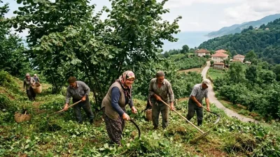 GİRESUN – BHA Karadeniz Bölgesi fındık bahçelerinde işçilik maliyetini düşürmek amacıyla