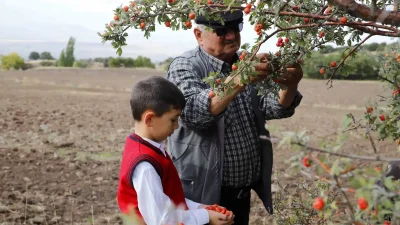Yaşar SARIKAYA – BHA Aksaray’ın Güzelyurt ilçesine bağlı Akyamaç Mahallesi’nde 70