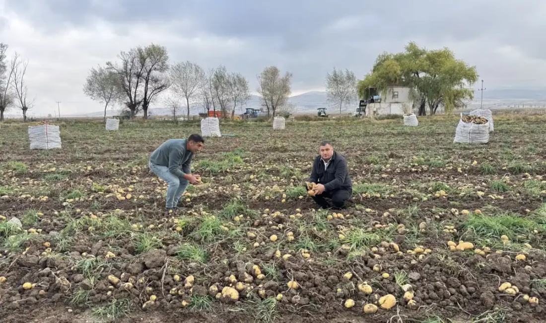 Yalçın ÇELİK-BHA Aksaray’ın Gülağaç ilçesinde patates hasadı devam ederken üreticiler,
