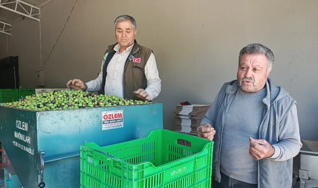 AYDIN – BHA Aydın’ın Karacasu ilçesinde zeytin üreticileri, işçilik, gübre,