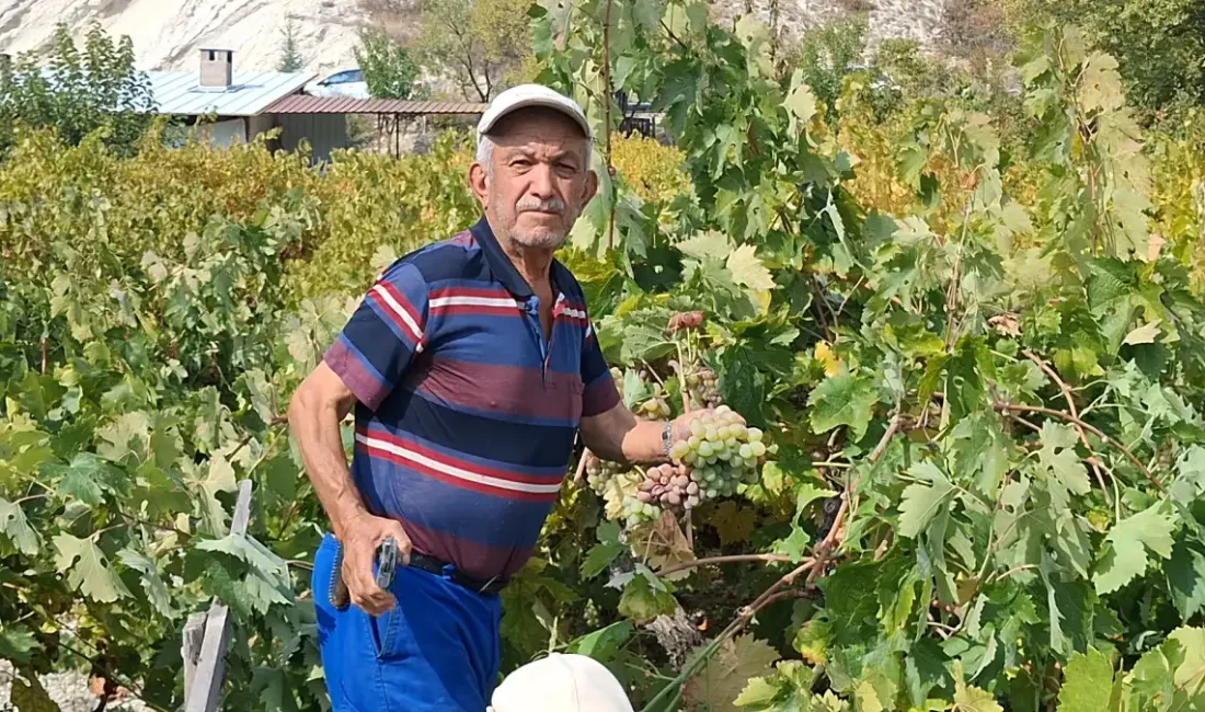 YAŞAR TONBAK/ANKARA/BHA Ankara’nın Beypazarı ilçesine yaklaşık 10 kilometre uzaklıkta bulunan