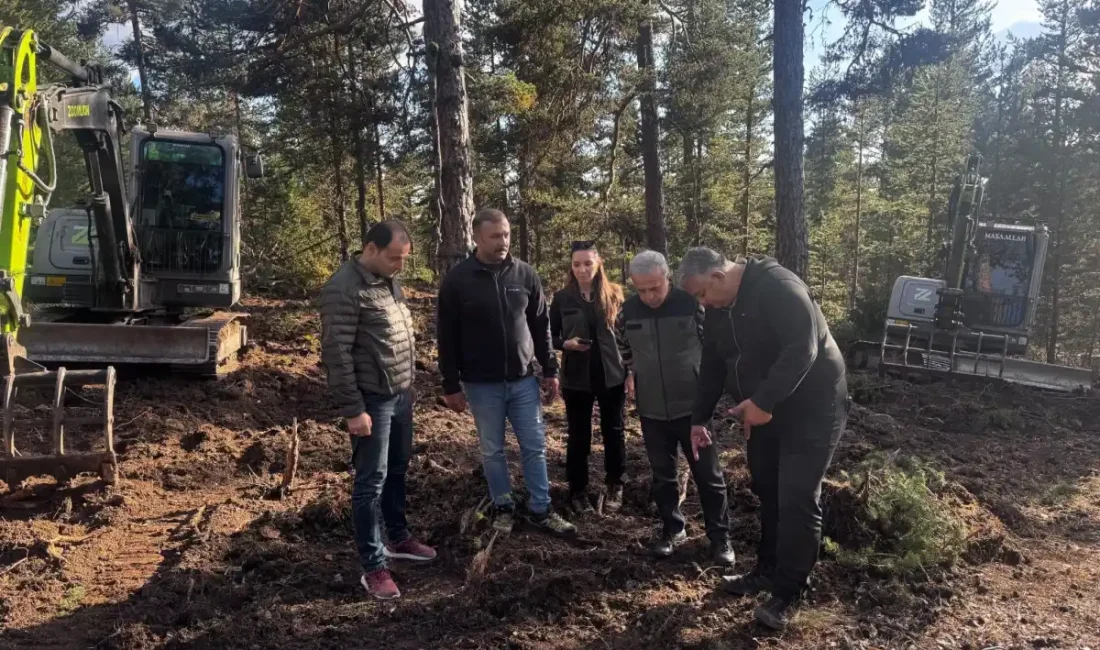 Beypazarı’nda 50 hektarlık alanda doğal gençleştirme çalışması YAŞAR TONBAK – BHA Beypazarı Orman İşletme Müdürlüğü, ormanların doğal
