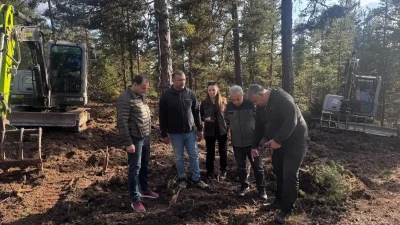 YAŞAR TONBAK – BHA Beypazarı Orman İşletme Müdürlüğü, ormanların doğal