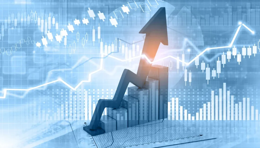ANKARA – BHA Türkiye İstatistik Kurumu (TÜİK), 2025 yılı Hanehalkı