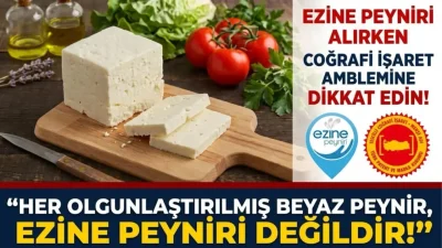 ANKARA – BHA  Almanya başta olmak üzere Avrupa ülkelerinde ve