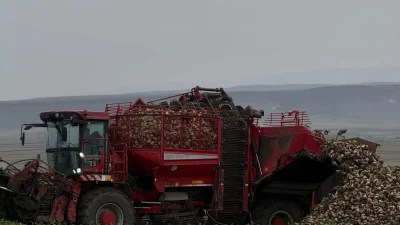 KARS – BHA Akyaka Kaymakamı İsmail Demirtaş, ilçede gerçekleştirilen şeker