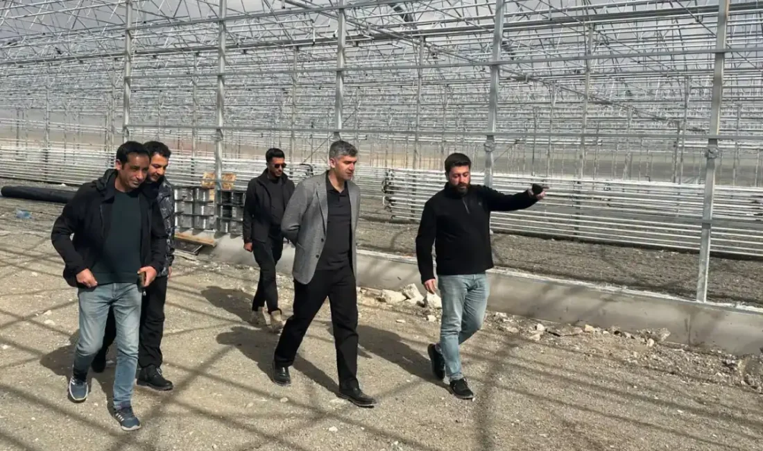 Kaymakam Korkusuz, Jeotermal Sera OSB’de incelemelerde bulundu AĞRI – BHA Diyadin Kaymakam Furkan KORKUSUZ, hafta sonu mesaisi kapsamında