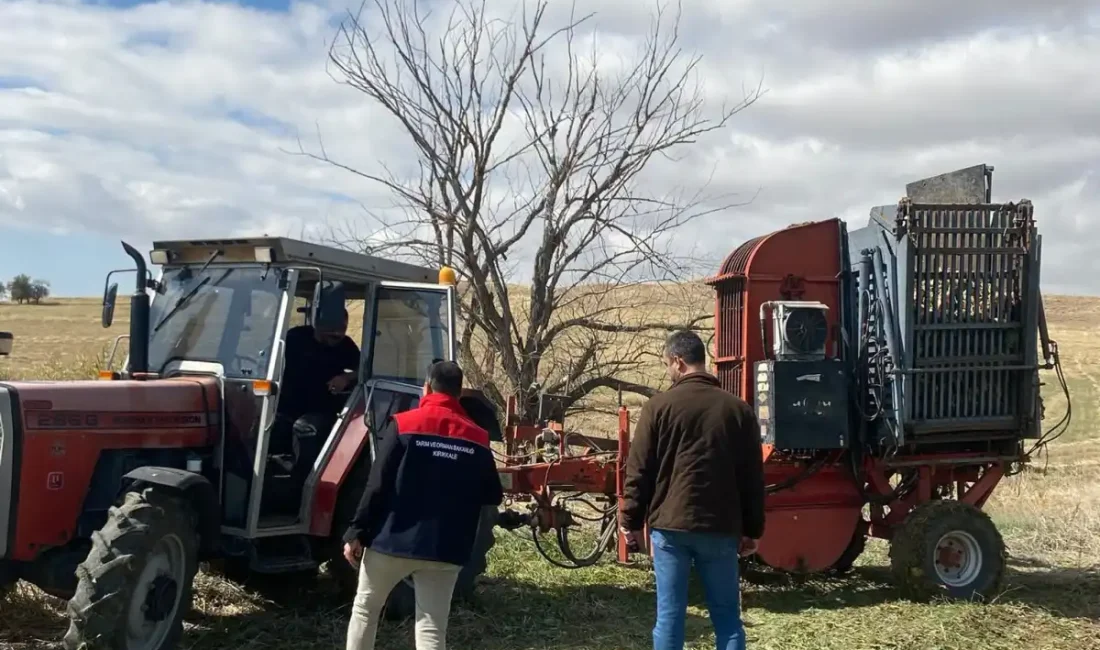 KIRIKKALE – BHA  Kırıkkale’de tarımsal üretimin önemli ürünlerinden biri olan