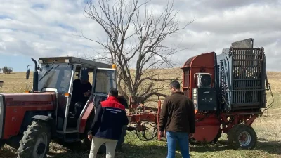 KIRIKKALE – BHA  Kırıkkale’de tarımsal üretimin önemli ürünlerinden biri olan