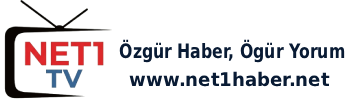 Net 1 Haber