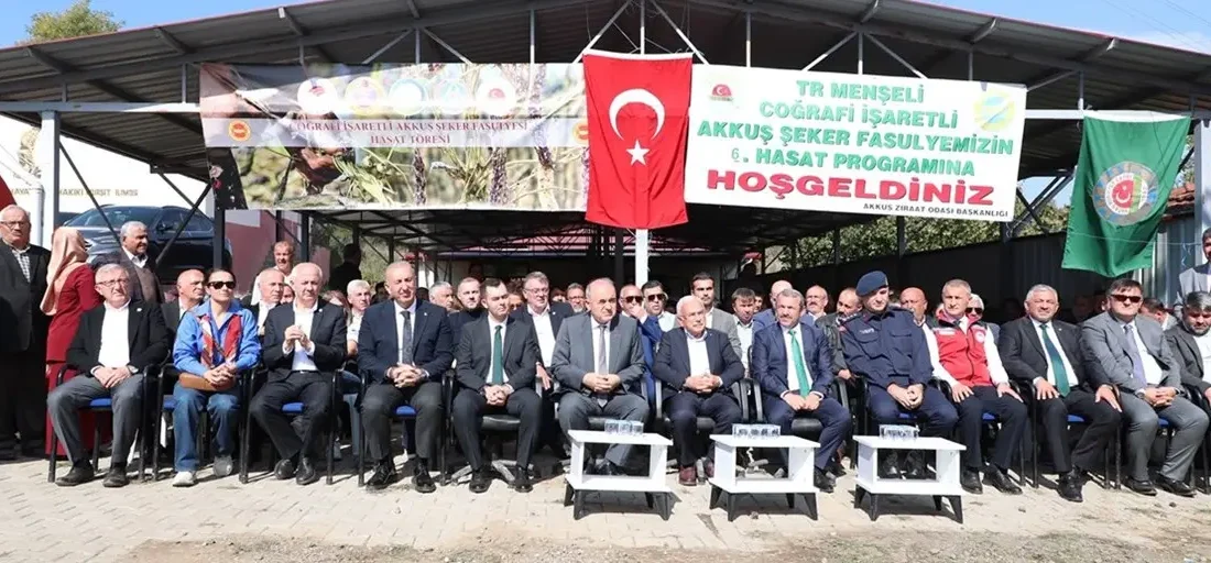 ORDU – BHA Ordu’nun coğrafi işaretli fasulyesinin hasatı başladı. Ordu