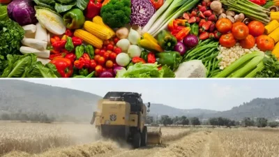 ANKARA – BHA Türkiye İstatistik Kurumu (TÜİK), Eylül 2026 dönemine
